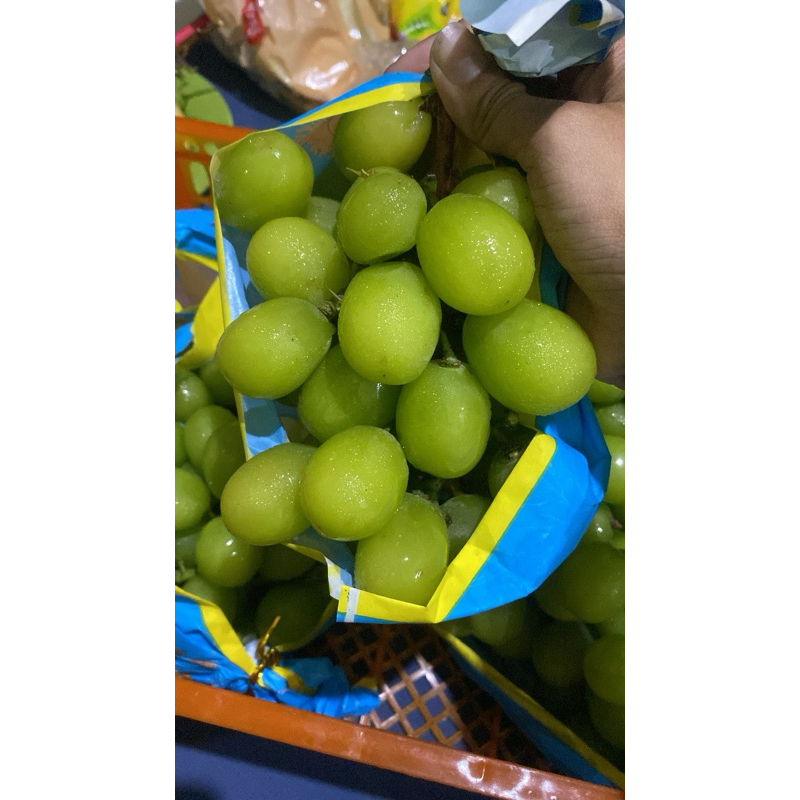 

Anggur Muscat Tanpa Biji 1kg