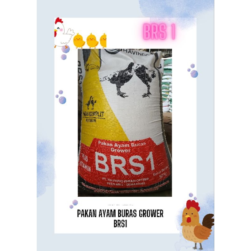 Pakan Ayam Buras Grower BRS 1