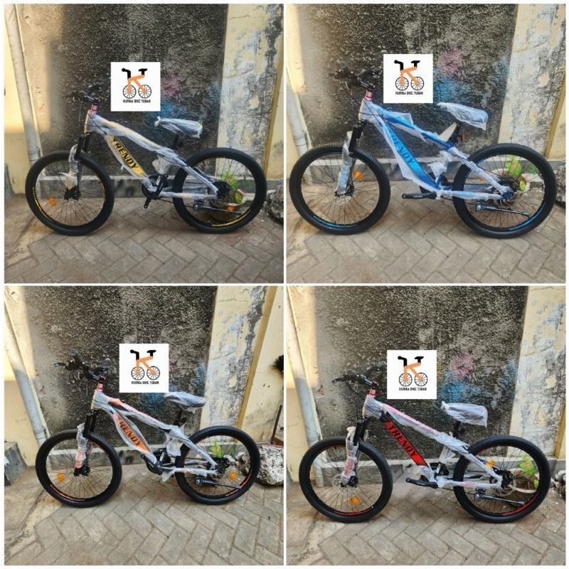 Sepeda MTB 24 TRENDY No Exotic Phoenix Pacific