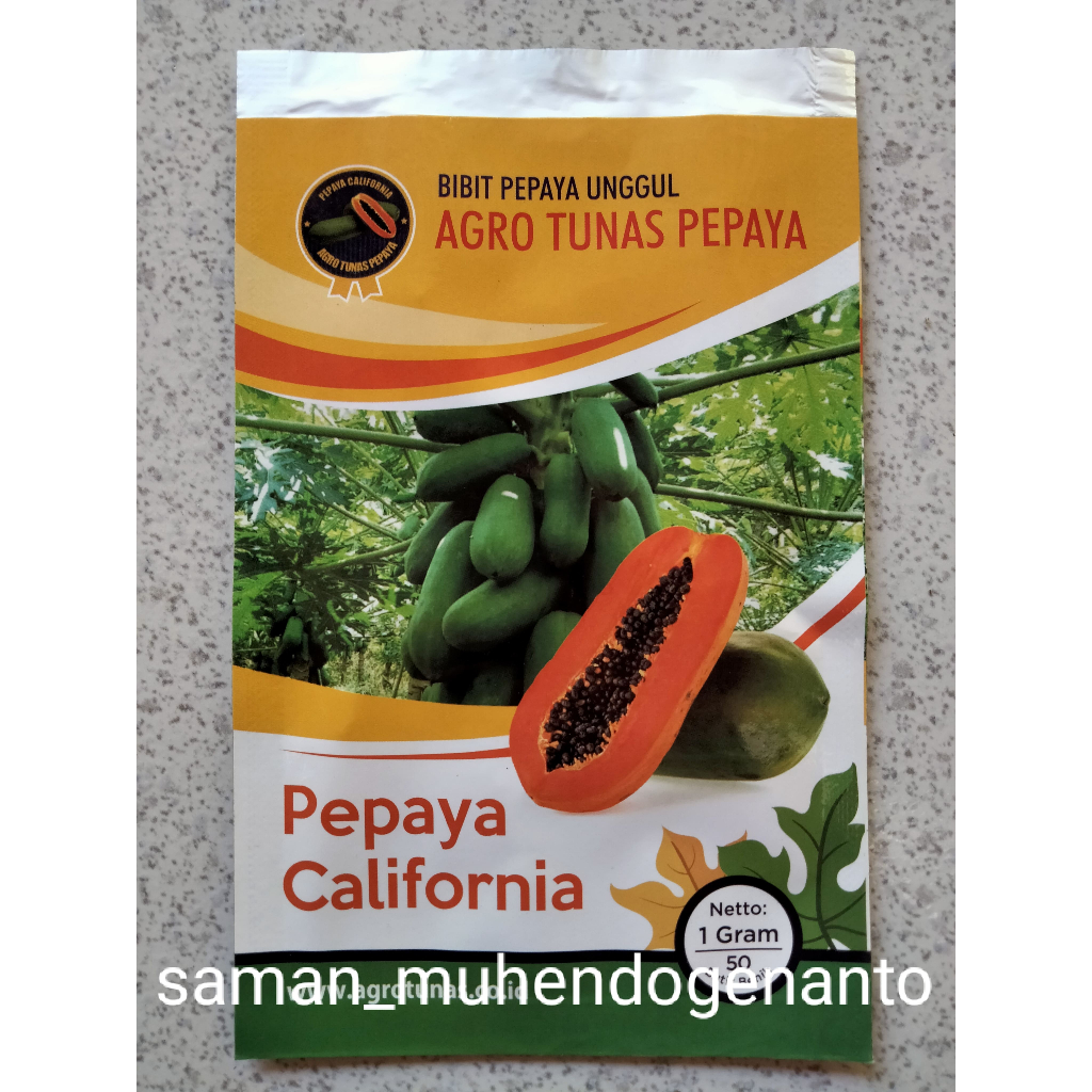 Benih Pepaya IPB9  California/IPB9 1 Gram (50 Biji) Agro Tunas Pepaya - Bibit Pepaya unggul Californ