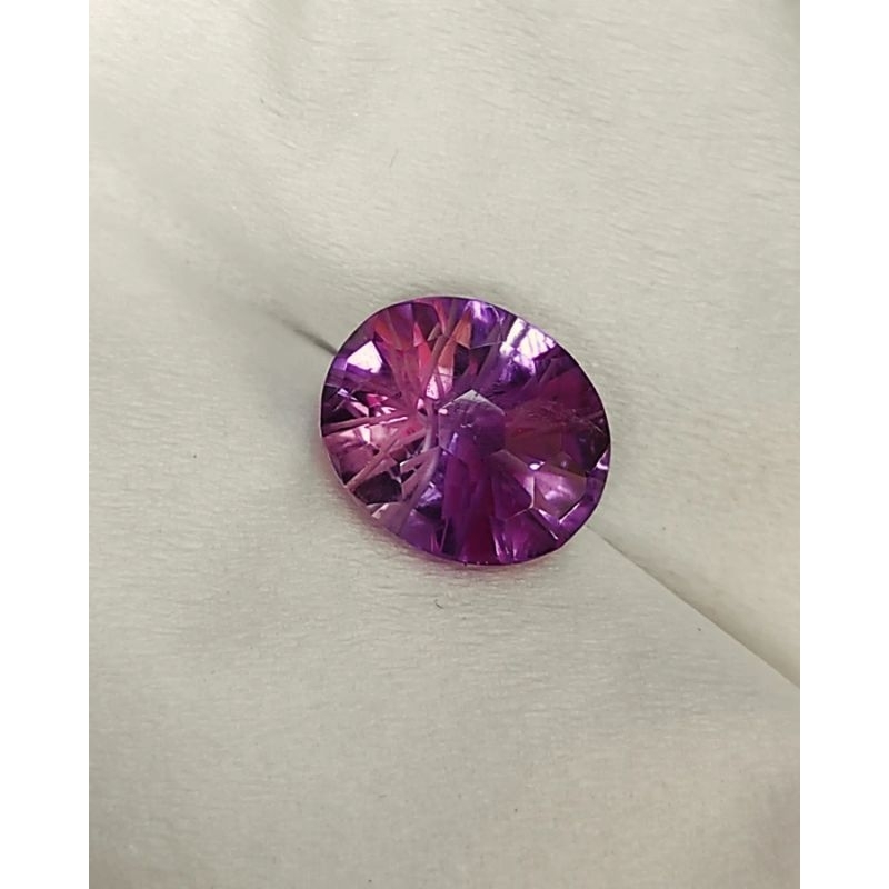 KECUBUNG UNGU CUTTING KECUBUNG KALIMANTAN