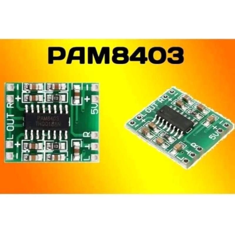 PAM 8403