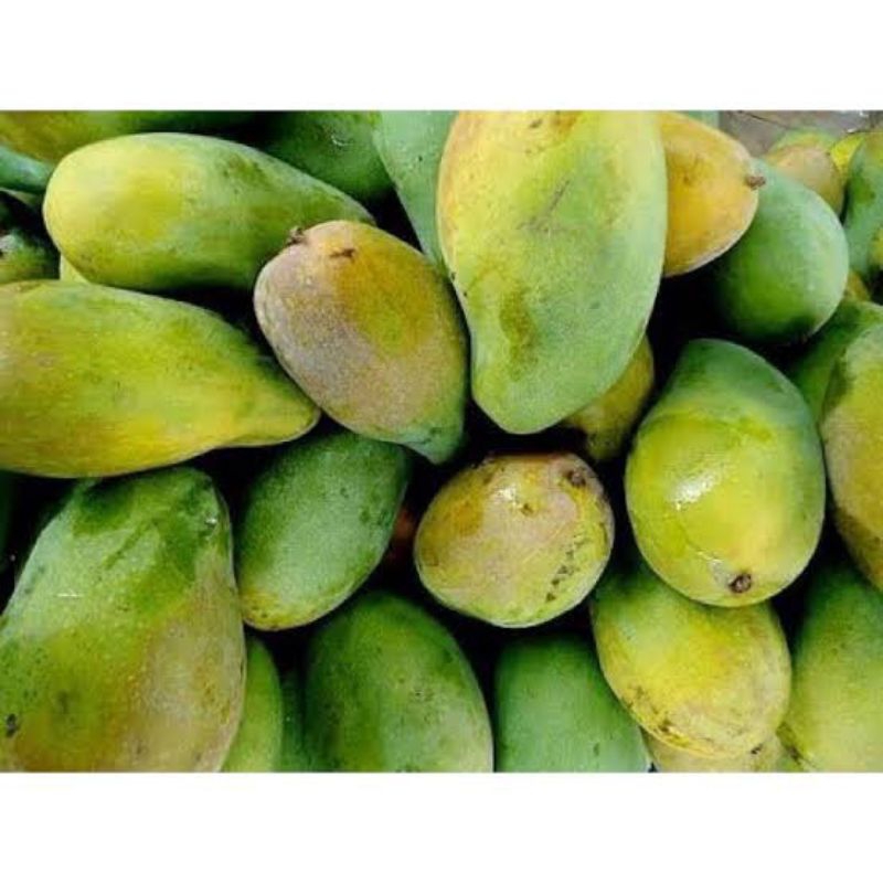 

Mangga Harum Manis Segar ( INSTAN dan SAMEDAY )