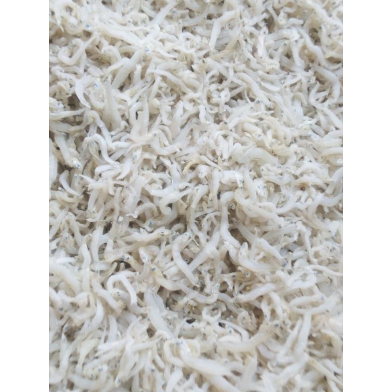 

Ikan teri nasi Medan asli•|250g|• BACA DESKRIPSI!