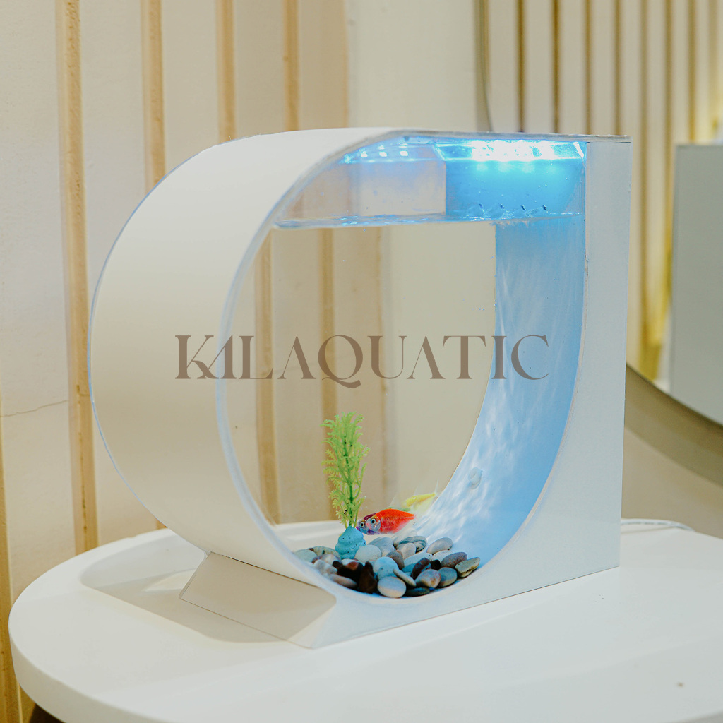 JOZZYMARY - AQUARIUM MINI BULAT FULLSET AKRILIK MINIMALIS - HIASAN MEJA KAMAR ESTETIK