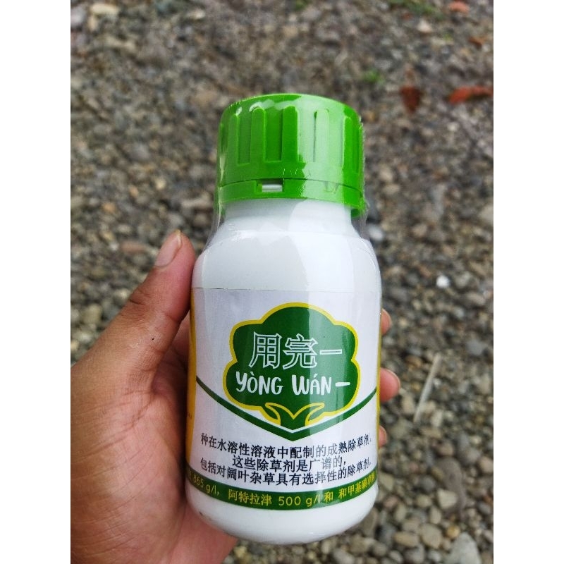 YONGWAN / YONG WAN  HERBISIDA RACUN RUMPUT GULMA AMAN PADA TANAMAN PADI KARET SAWIT JAGUNG TEBU DLL