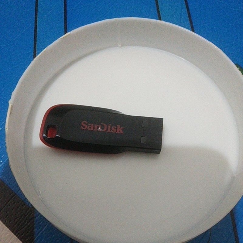 Flash Disk Sandisk 8 Gb