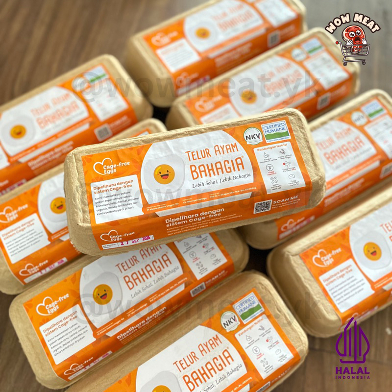 

Telur Ayam Omega | Telur Ayam Bahagia 10 Butir