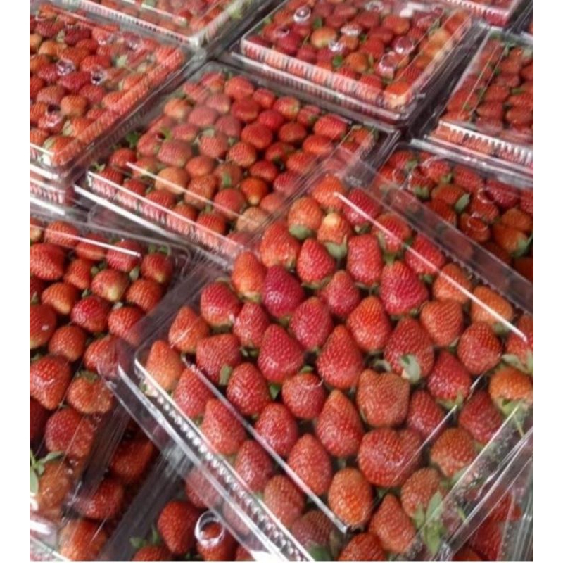 

strawberry mika segar