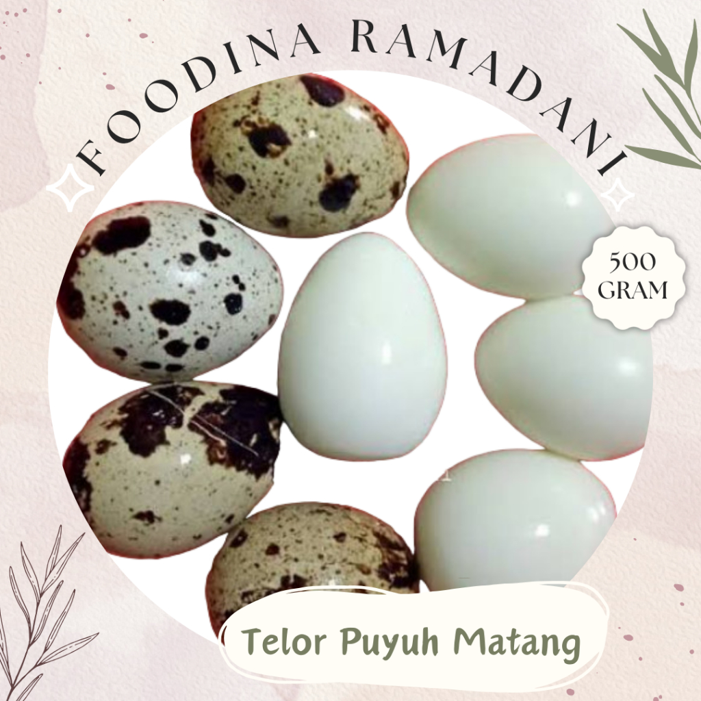 

TELOR PUYUH Matang - Quail Eggs Fresh [ 500gr ] Harga Per 0,5 Kg