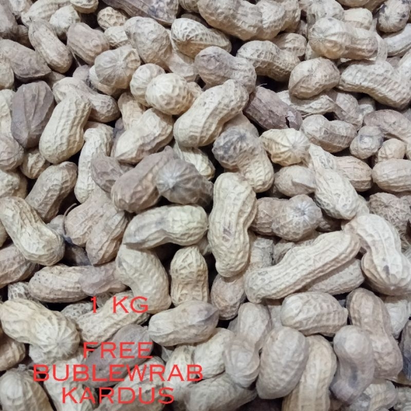 

kacang sangan arum rasa gurih renyah 1 kg