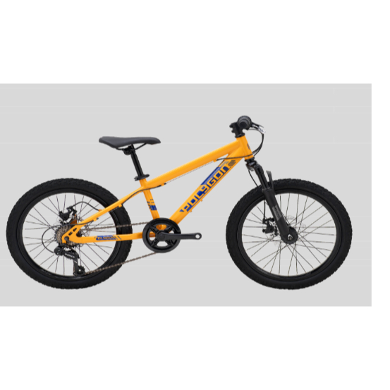 Sepeda MTB 20 inch POLYGON MAZE sepeda anak laki laki Polygon