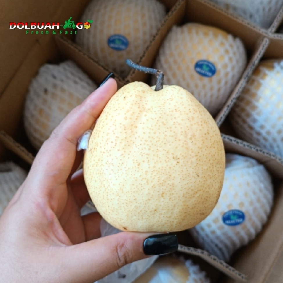 

Pear Sweet Manis Buah Fresh Murah Premium - Dolbuah