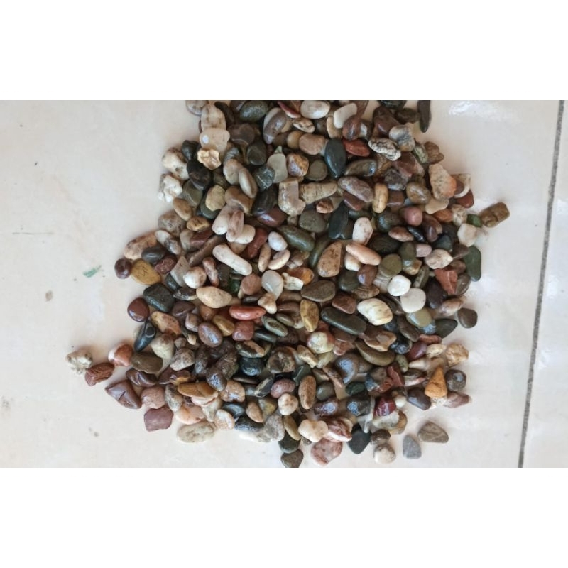 Batu pancawarna coklat 1kg/Batu sikat coklat/Batu koral coklat/Batu hias/Batu sikat/Batu aquarium/Ba