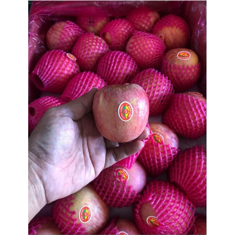 

Apel Fuji biasa 1 kardus 17 kg isi 88/100 biji