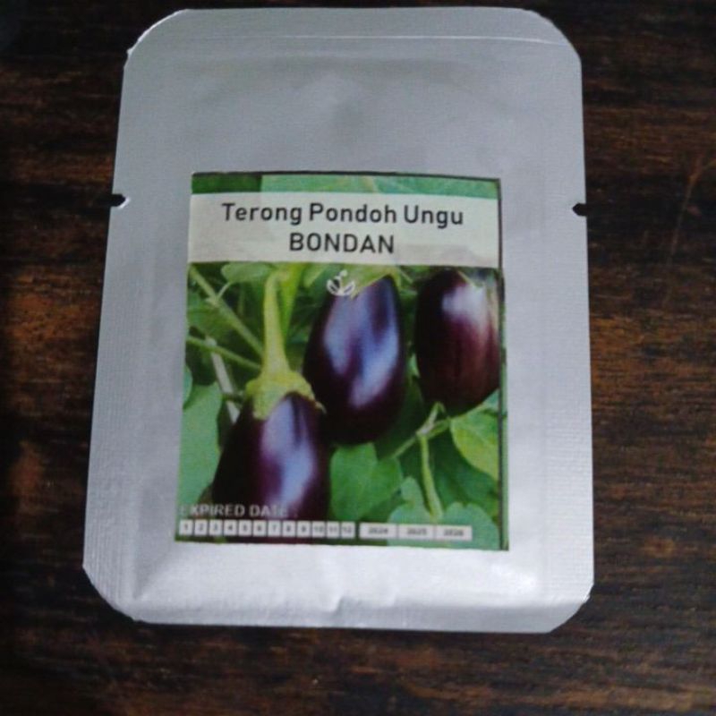 Bibit benih Terong Pondoh Ungu