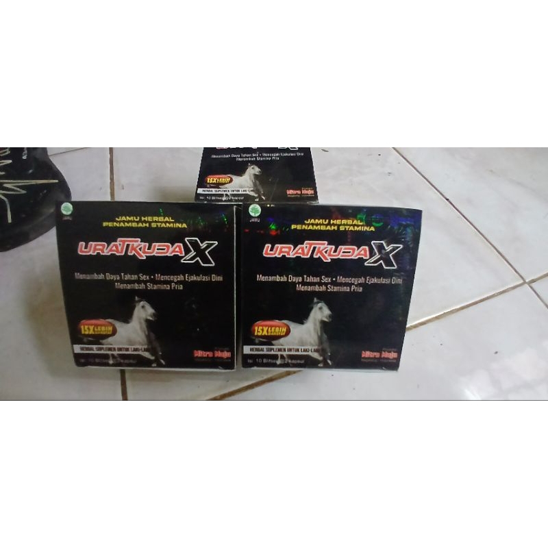 penambah setamina kuda liar x kapsul