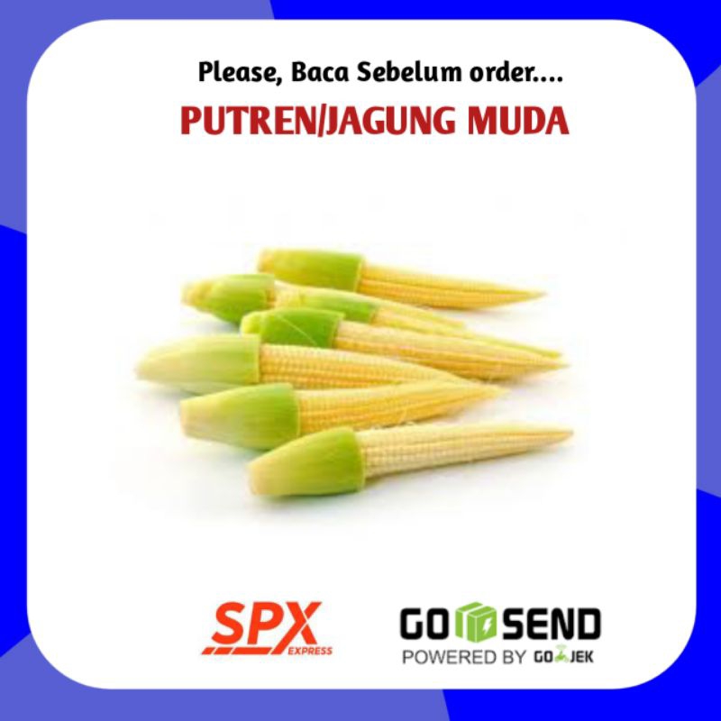 

Jagung Muda Putren 100 gram 250gram - Sayur Segar Online Palembang