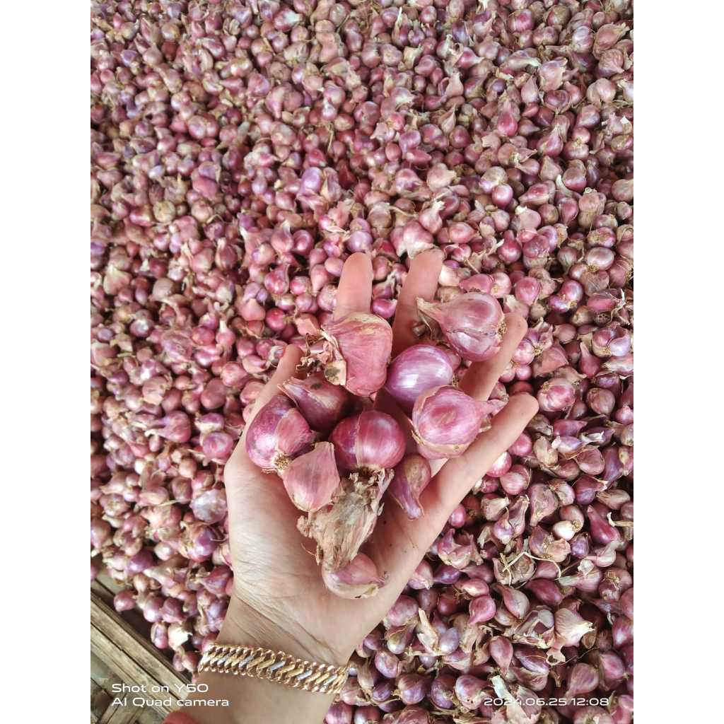 

Bawang merah 1KG