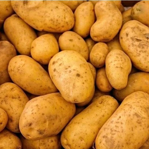 

OMAH_BIBIT-Kentang segar