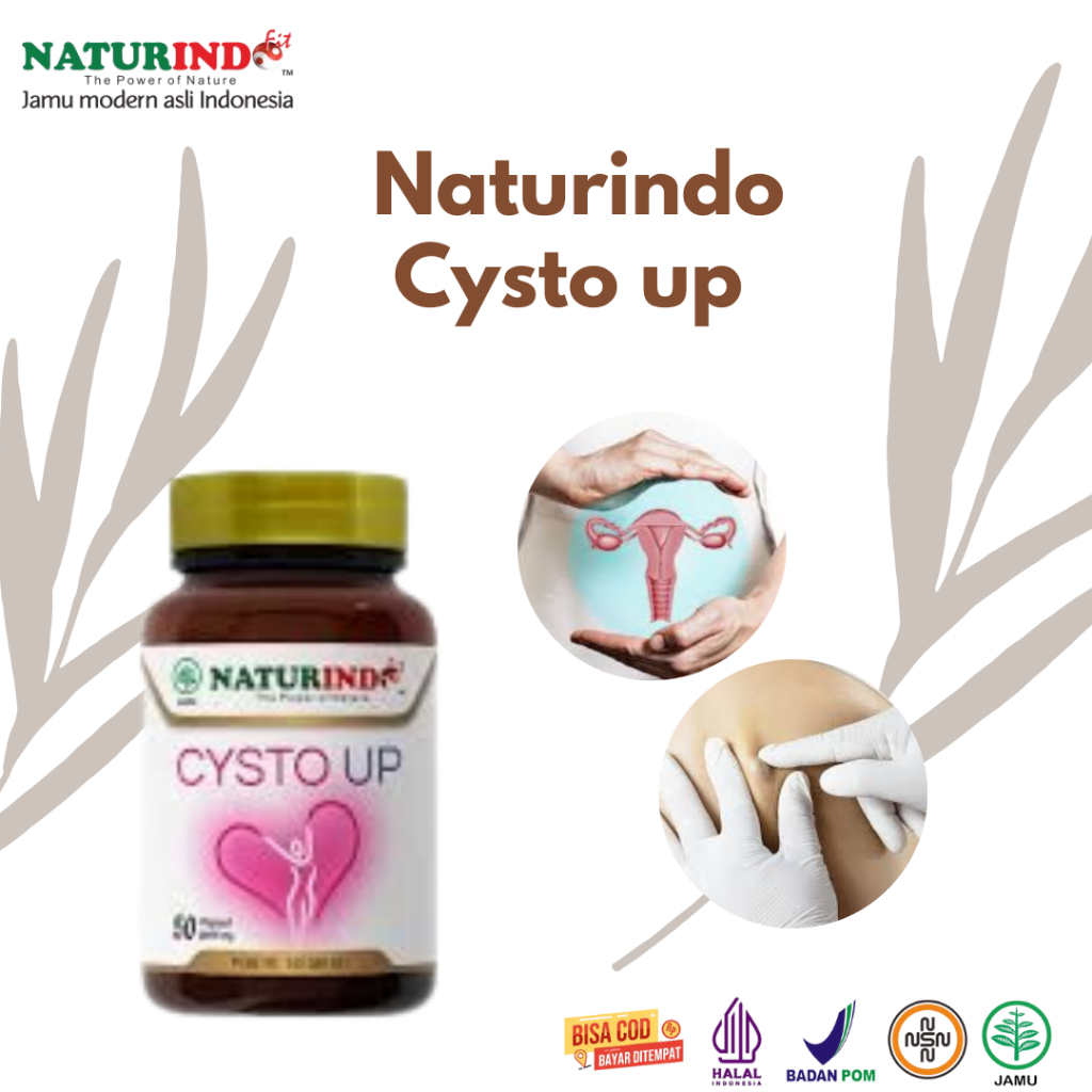 NATURINDO CYSTO UP Obat Kista Ovarium Dan Kista Bartholin Yg Paling Ampuh