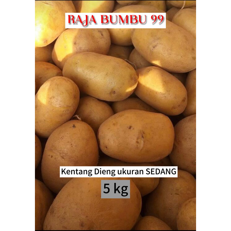 

KENTANG DIENG ASLI ukuran Sedang PAKET 5kg