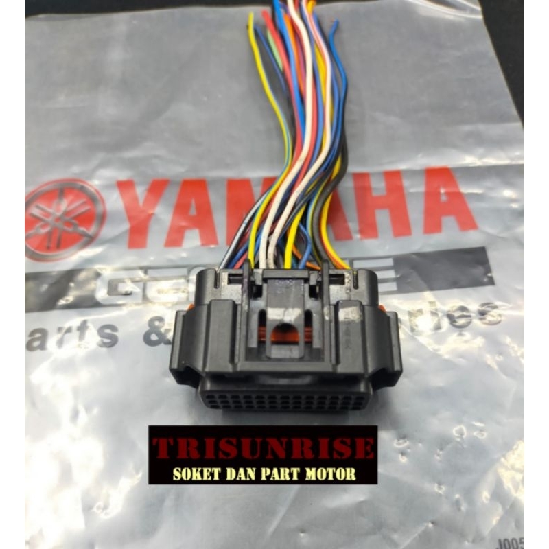 Soket Ecu ecm Yamaha freego 125