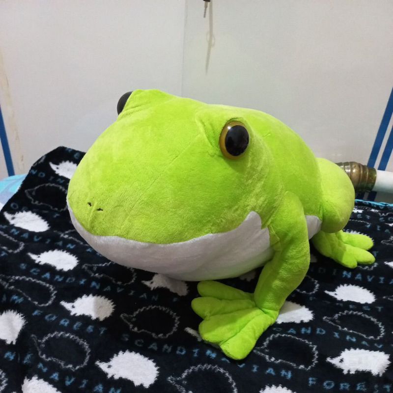 GIANT FROG PLUSH / BONEKA KODOK BESAR BRAND AMUSE LIMITED EDITION / REALISTIC FROG PLUSH SOFT