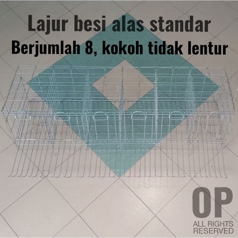 Kandang galvanis ayam petelur pintu 6