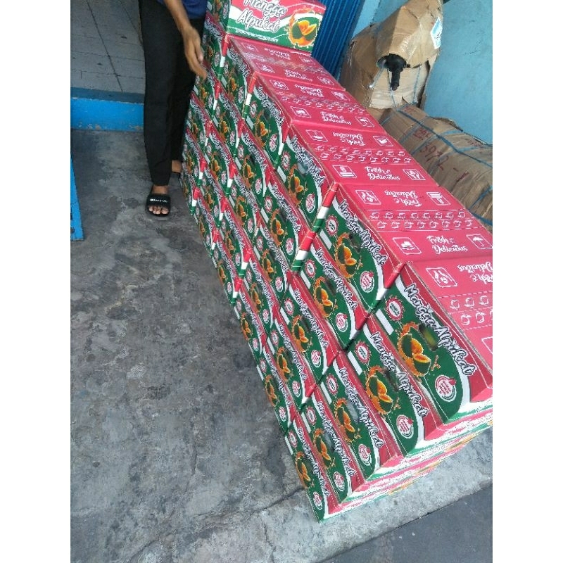 

Mangga alpukat klonal21 Ab matang pohon