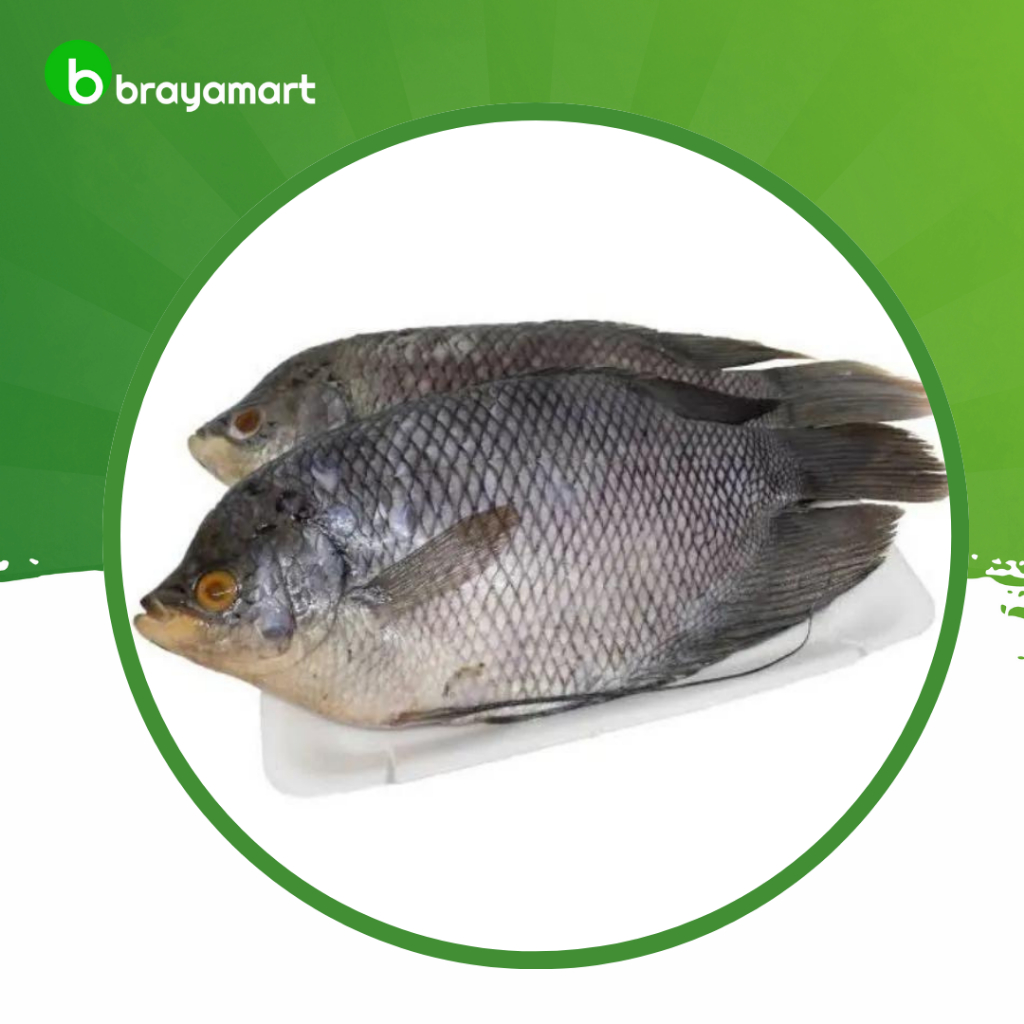 

Ikan Gurame 1kg Brayamart