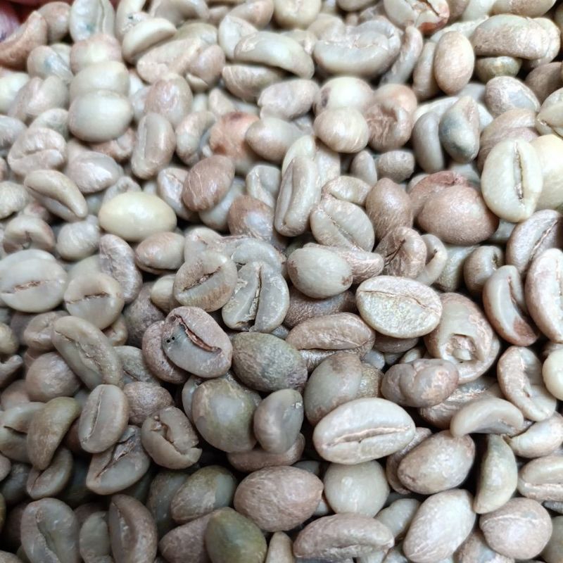 

Green Bean Robusta Jabar G1