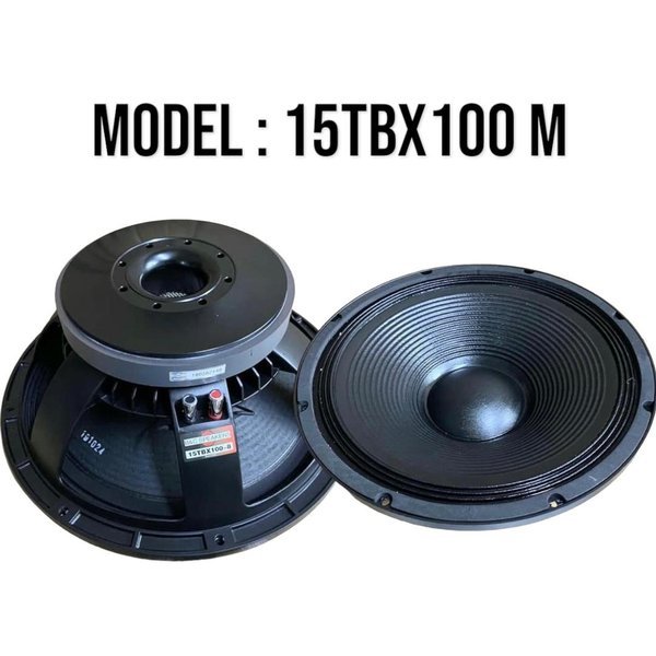 Speaker Component B&C 15TBX100 Woofer 15 inch BNC 15 TBX 100