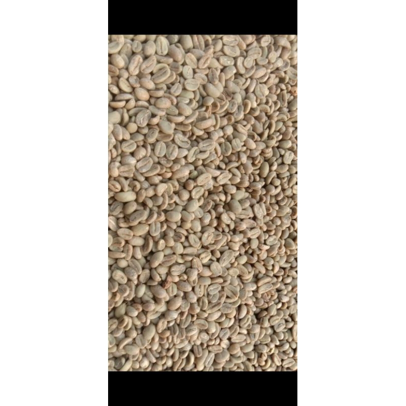 

greenbean Arabika fullwash garut