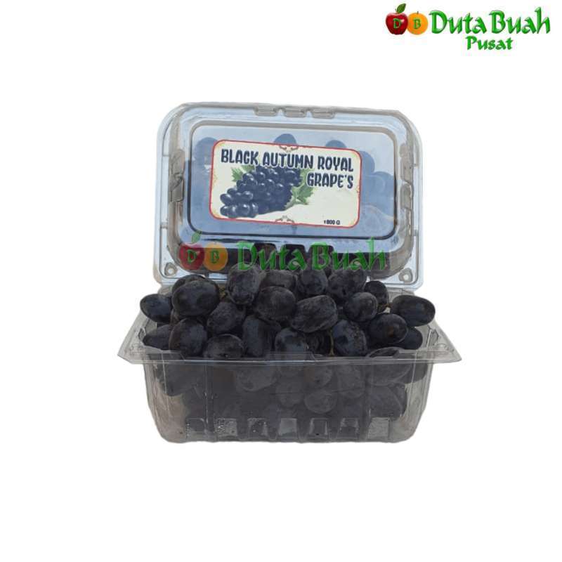 

DUTA BUAH ANGGUR AUTUM ROYAL RRC ( +-800 gram )