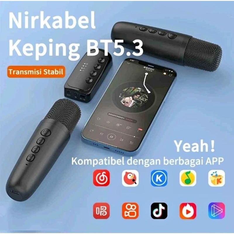 Mic Harman Kardon, Mic Karaoke, Mic JBL, Mic Bose, Mic Karaoke Mobil, DS K1, DS-K1