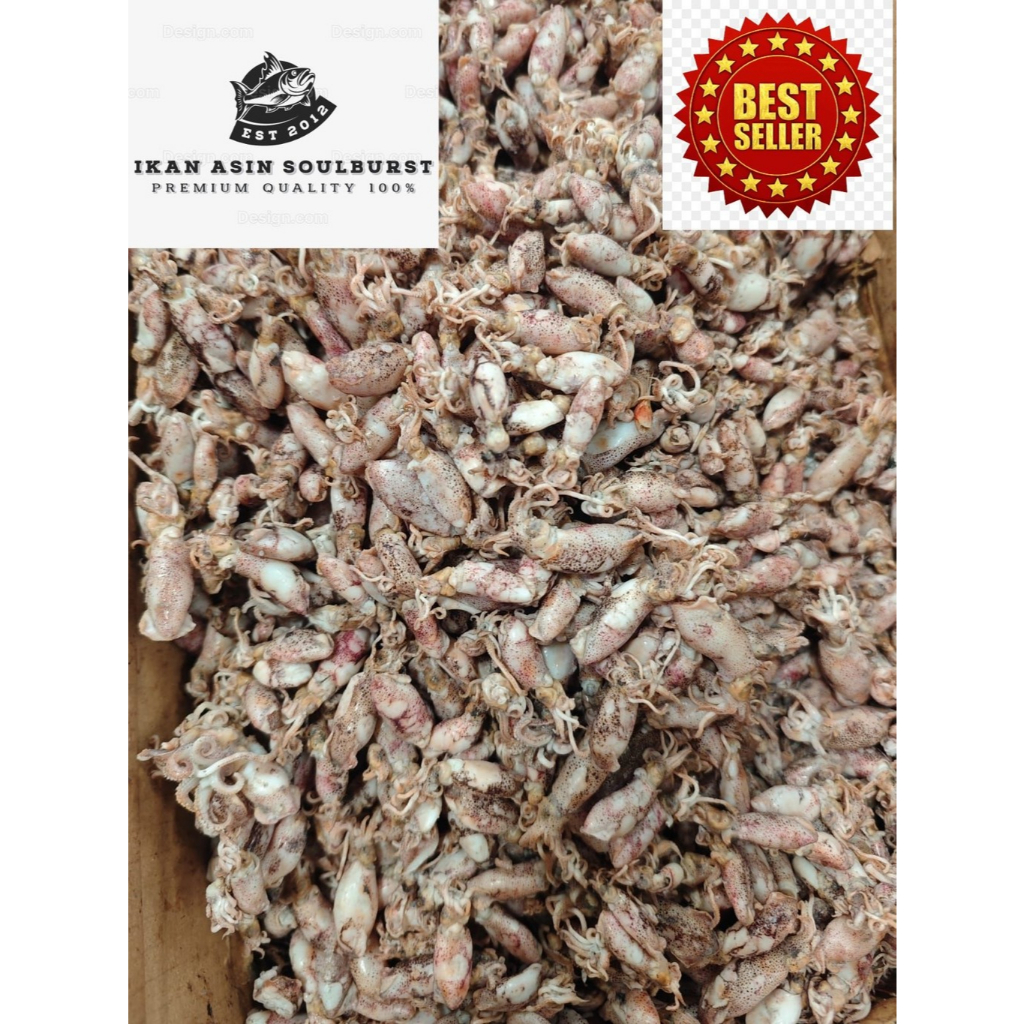 

Ikan Asin Cumi Baby Kualitas Super 500 Gram