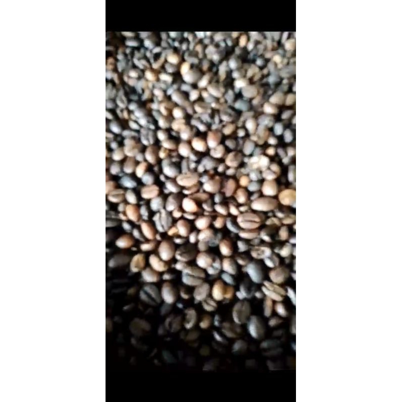 

Kopi Robusta