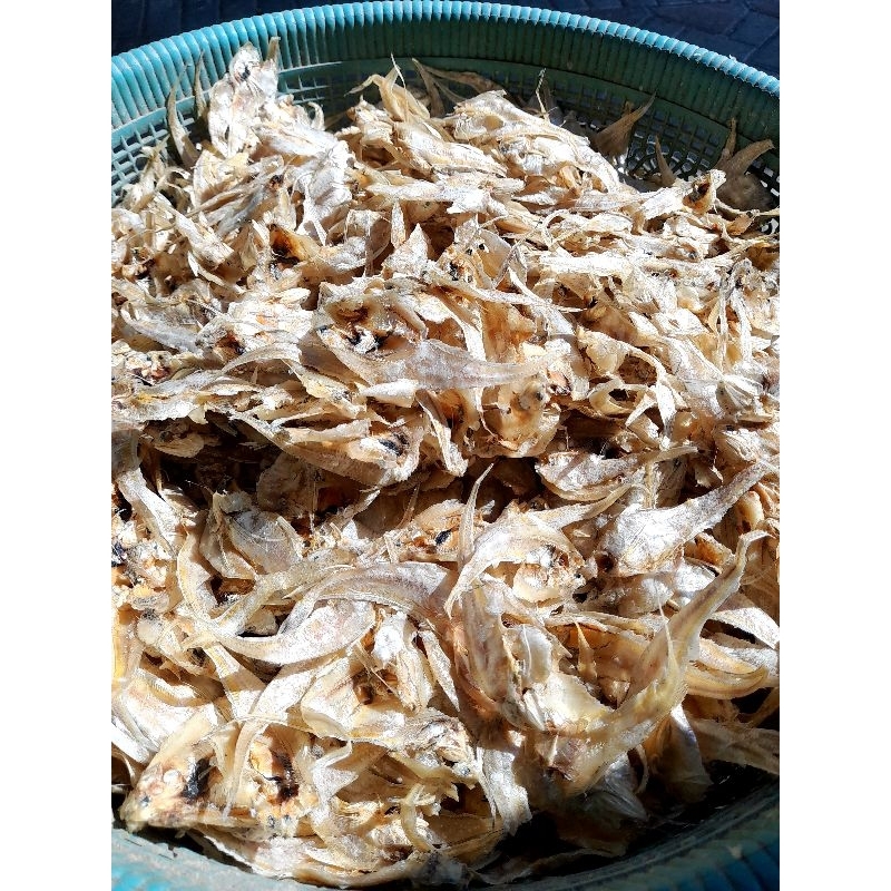 

Ika Asin Mentah 100gr bulu ayam kering