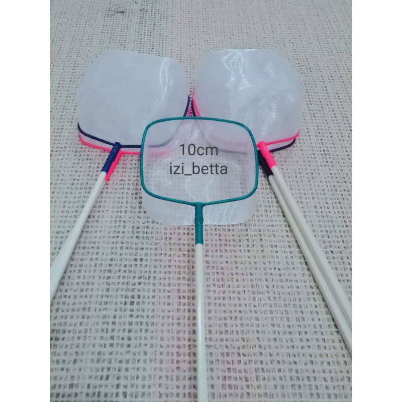 serokkan ikan hias besar