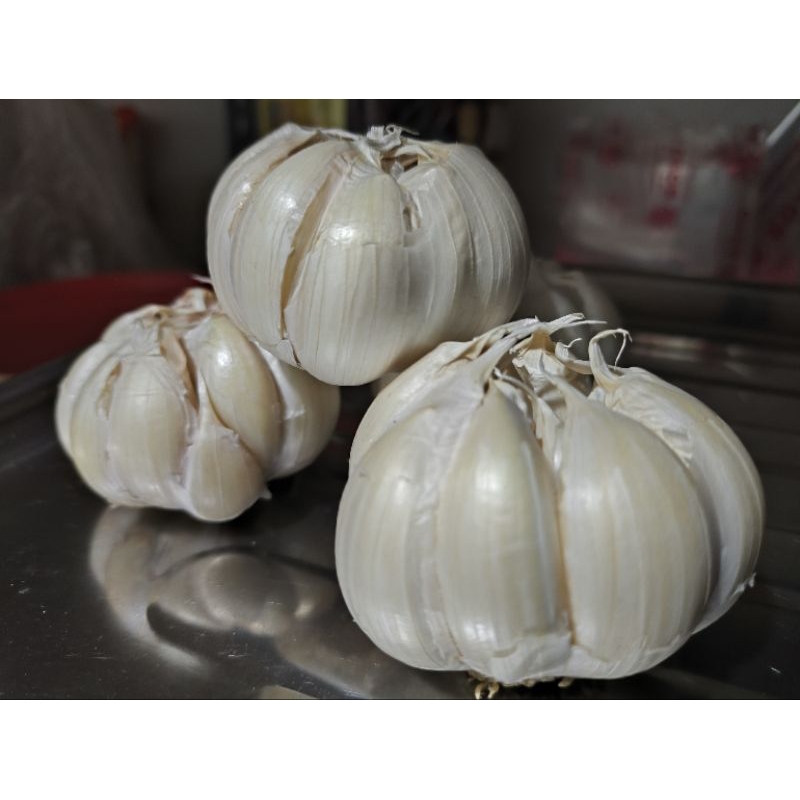 

Bawang Putih Kering 500 Gr Super