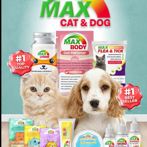 max obat obatan kucig dan anjing
