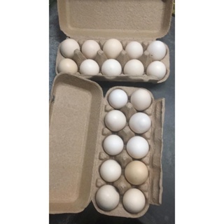 

RB TELOR AYAM KAMPUNG CAGE FREE BSP FARM 10PCS