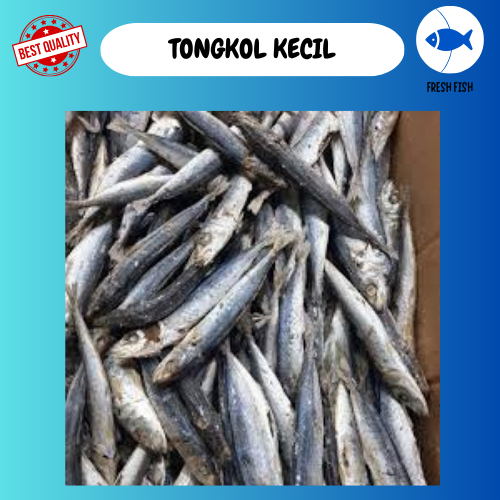 

IKAN ASIN TONGKOL KECIL/TONGKOL KECIL 500 GRAM