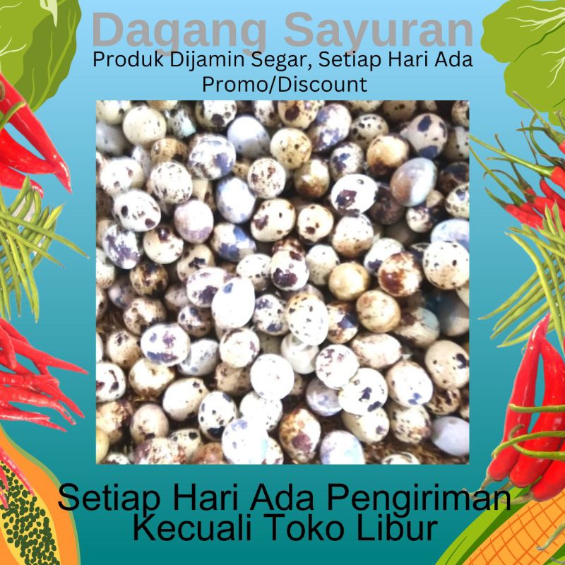 

TELUR PUYUH/TELOR PUYUH/JUAL TELOR/DAGANG TELOR/PENJUAL TELOR/PEDAGANG TELOR/PEDAGANG TELUR/JUAL SEMBAKO/DAGANG SEMBAKO/PEDAGANG SEMBAKO/PENJUAL SEMBAKO/DAGANG SAYURAN/SERPONG/BSD/BINTARO/CIPUTAT/TANGERANG SELATAN/TANGSEL