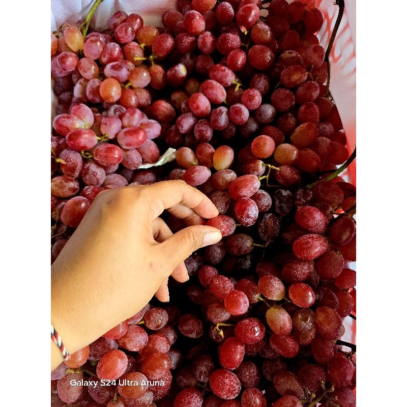 

Anggur crimson manis tanpa biji