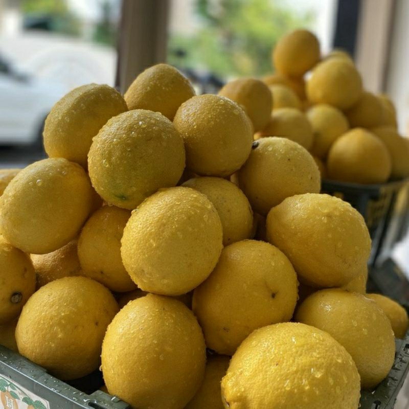 

jeruk lemon 1kg / buah lemon segar / lemon california lokal