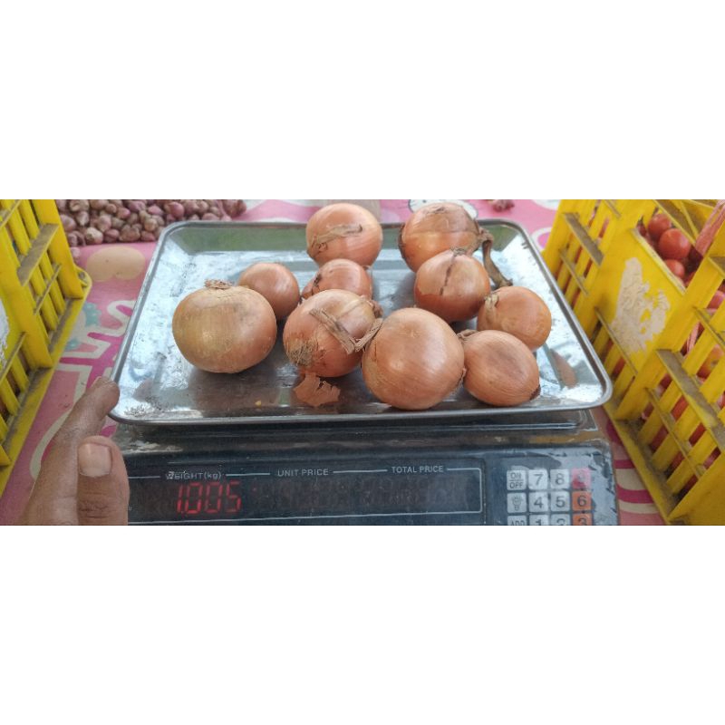 

BAWANG BOMBAY IMPORT FRESH KERING KEMASAN 250GR 500GR 1000GR
