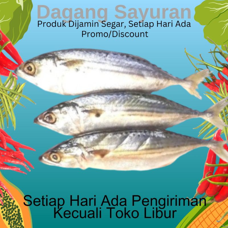 

IKAN KEMBUNG BANJAR/IKAN SEAFOOD SEGAR/JUAL IKAN SEAFOOD/DAGANG IKAN SEAFOOD/PENJUAL IKAN SEAFOOD/PEDAGANG IKAN SEAFOOD /TOKO DAGANG SAYURAN/SERPONG/BSD/BINTARO/CIPUTAT/PAMULANG/PONDOK AREN/TANGERANG SELATAN/TANGSEL