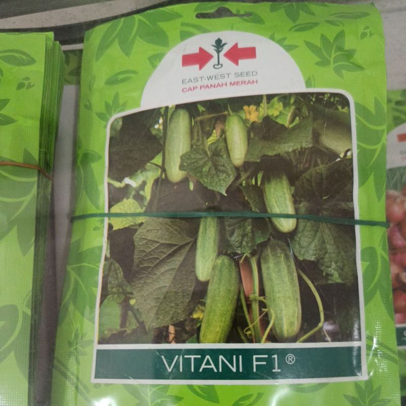 Benih/Bibit Baby Vitani F1 175 butir